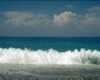 immagine articolo immagine articolo