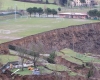immagine articolo immagine articolo