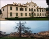 immagine articolo immagine articolo