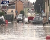 immagine articolo immagine articolo