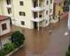 immagine articolo immagine articolo