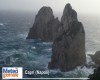 immagine articolo immagine articolo