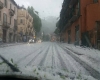 immagine articolo immagine articolo