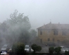 immagine articolo immagine articolo