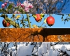 immagine articolo immagine articolo