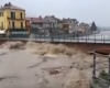 immagine articolo immagine articolo
