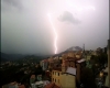 immagine articolo immagine articolo