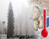 immagine articolo immagine articolo