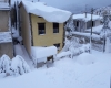 immagine articolo immagine articolo