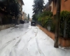 immagine articolo immagine articolo