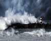 immagine articolo immagine articolo