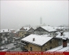 immagine articolo immagine articolo