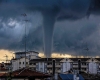 immagine articolo immagine articolo