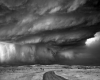 immagine articolo immagine articolo