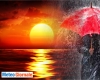 immagine articolo immagine articolo