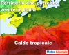 immagine articolo immagine articolo