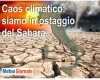 immagine articolo immagine articolo