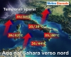 immagine articolo immagine articolo