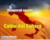 immagine articolo immagine articolo