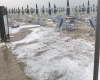 immagine articolo immagine articolo
