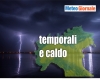 immagine articolo immagine articolo