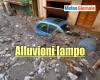immagine articolo immagine articolo