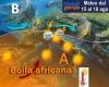 immagine articolo immagine articolo