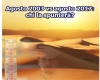 immagine articolo immagine articolo