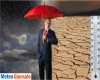 immagine articolo immagine articolo