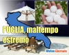 immagine articolo immagine articolo