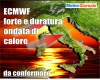 immagine articolo immagine articolo