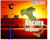 immagine articolo immagine articolo