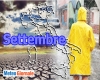 immagine articolo immagine articolo