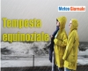 immagine articolo immagine articolo