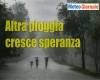 immagine articolo immagine articolo