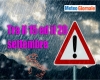 immagine articolo immagine articolo