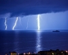 immagine articolo immagine articolo