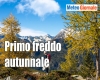immagine articolo immagine articolo