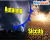 immagine articolo immagine articolo