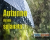 immagine articolo immagine articolo