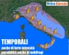 immagine articolo immagine articolo