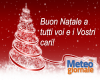 immagine articolo immagine articolo