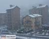 immagine articolo immagine articolo
