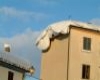 immagine articolo immagine articolo