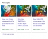 immagine articolo immagine articolo