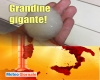 immagine articolo immagine articolo