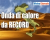 immagine articolo immagine articolo