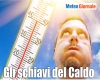 immagine articolo immagine articolo