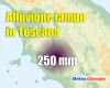 immagine articolo immagine articolo