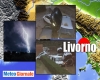 immagine articolo immagine articolo